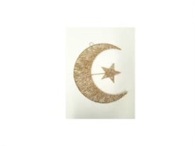 Gold Hanging Moon Star 2D